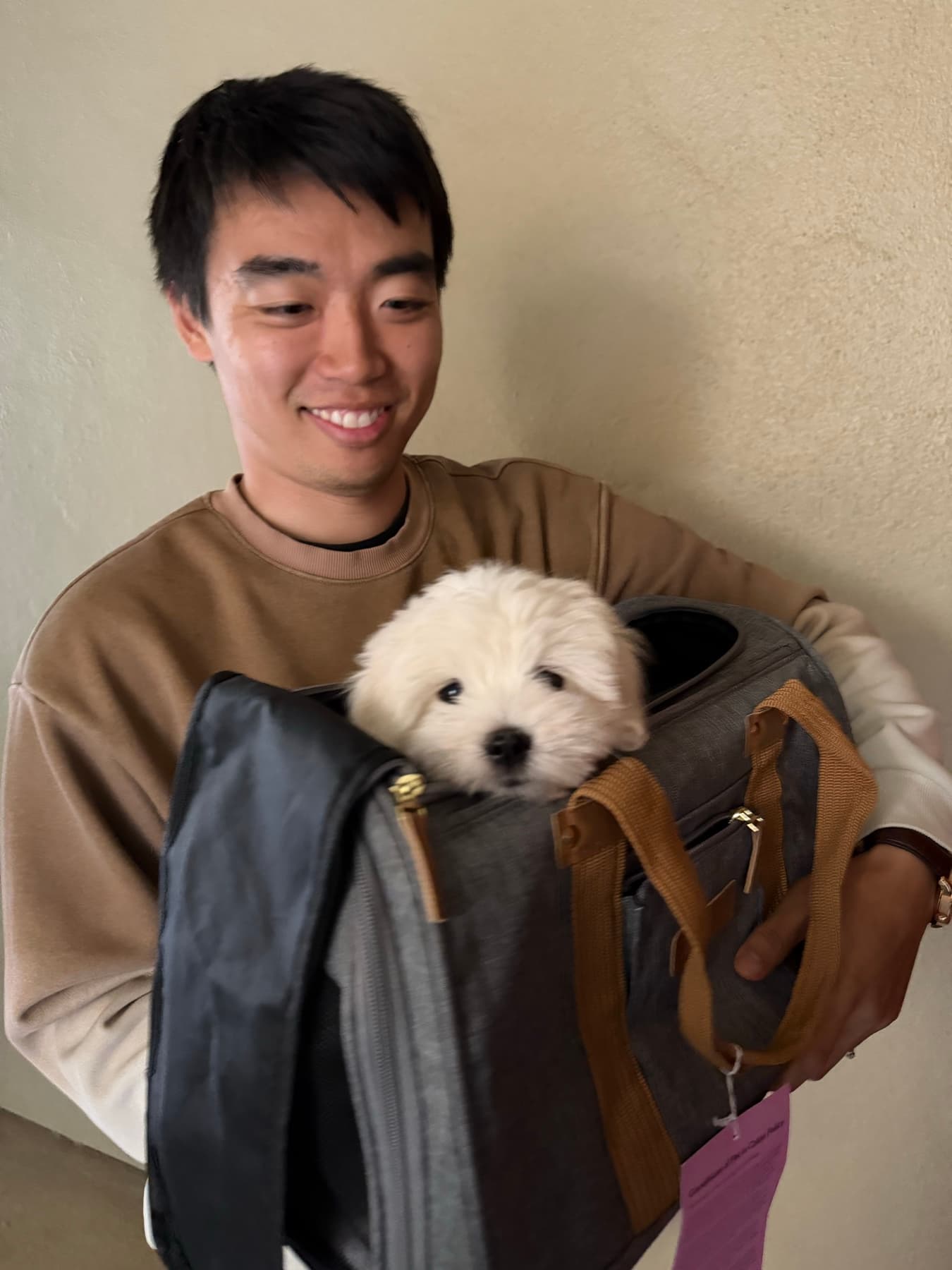 Coco Puff peeking out of her travel bag with family